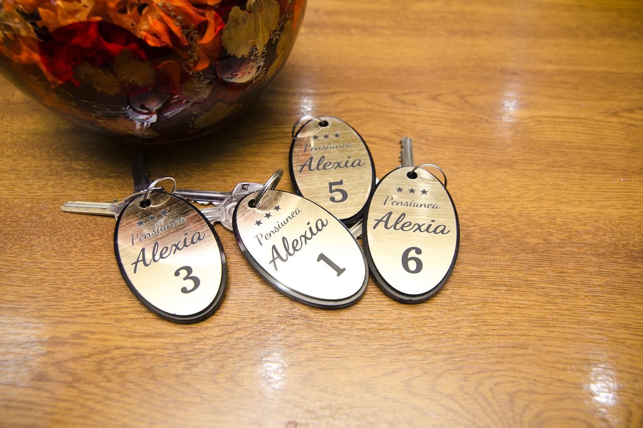 Гостевой дом Pension Alexia Сибиу-28