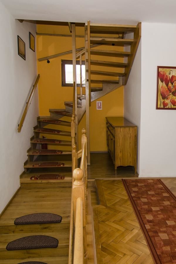 Гостевой дом Pension Alexia Сибиу-47
