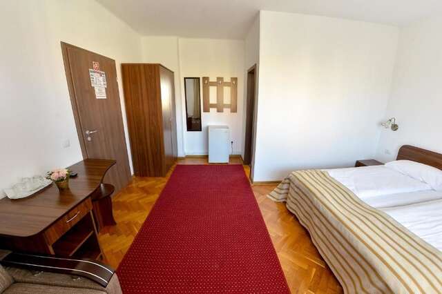 Гостевой дом Pension Alexia Сибиу-53