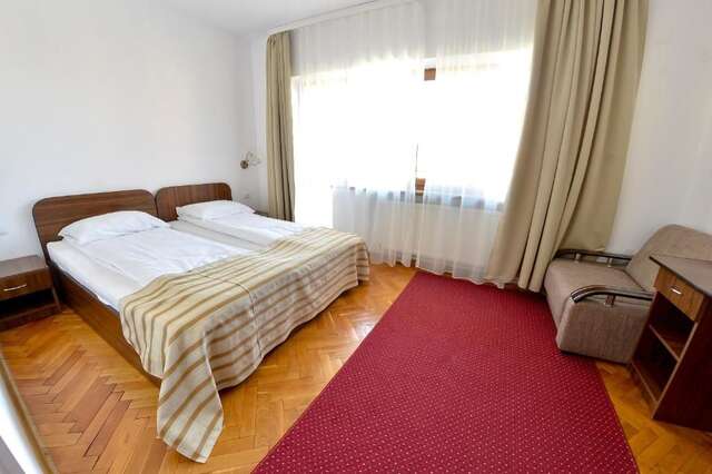 Гостевой дом Pension Alexia Сибиу-55