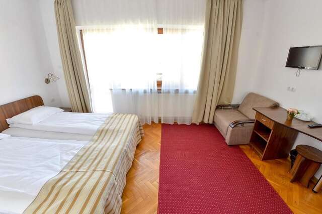 Гостевой дом Pension Alexia Сибиу-56
