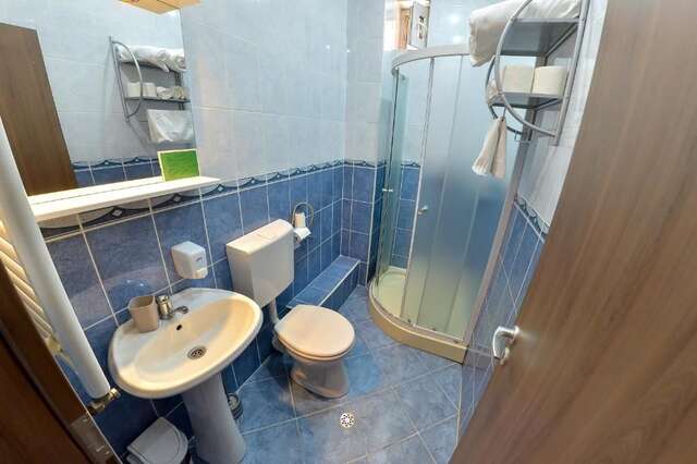 Гостевой дом Pension Alexia Сибиу-57