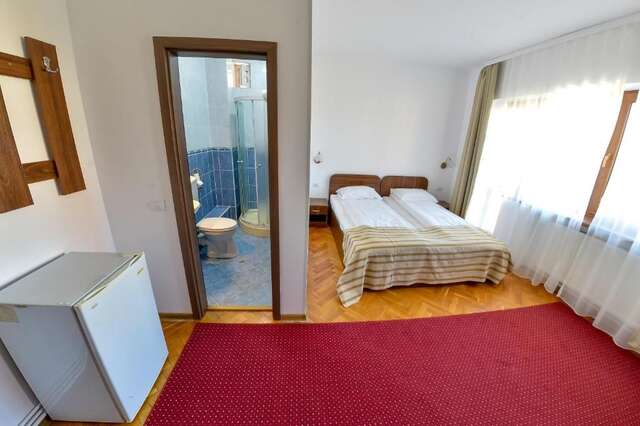 Гостевой дом Pension Alexia Сибиу-58