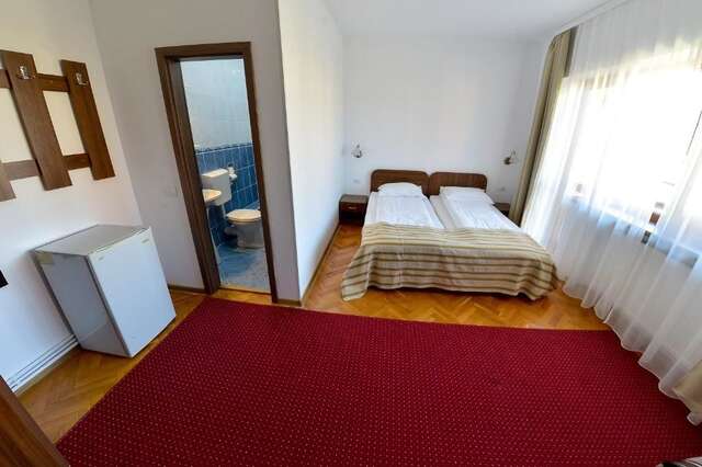 Гостевой дом Pension Alexia Сибиу-60