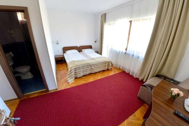 Гостевой дом Pension Alexia Сибиу-61