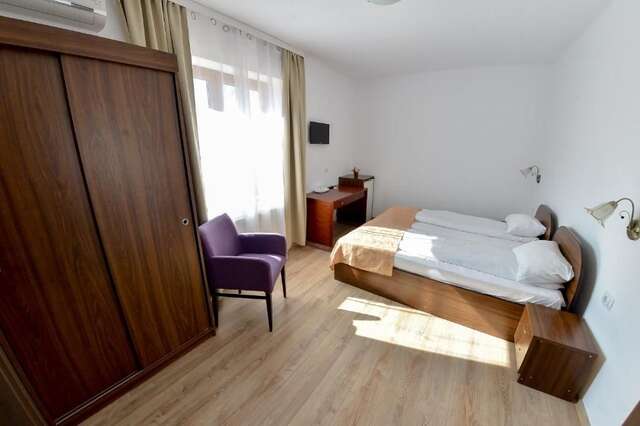 Гостевой дом Pension Alexia Сибиу-62